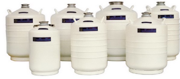 成都金凤         液氮生物容器(运输型I)