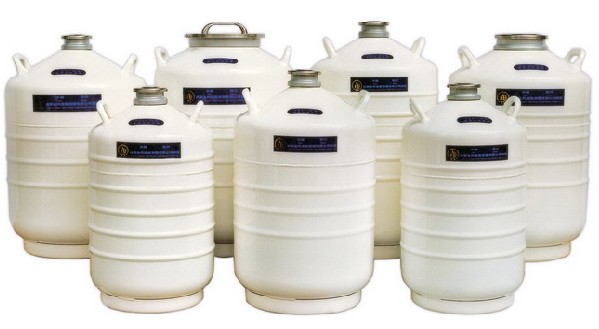 成都金凤         液氮生物容器(贮存型II)