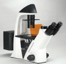 重庆奥特         倒置荧光显微镜BDS400